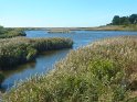 2015-09-28 14-35-15 St Gildas-Apres-midi MBo